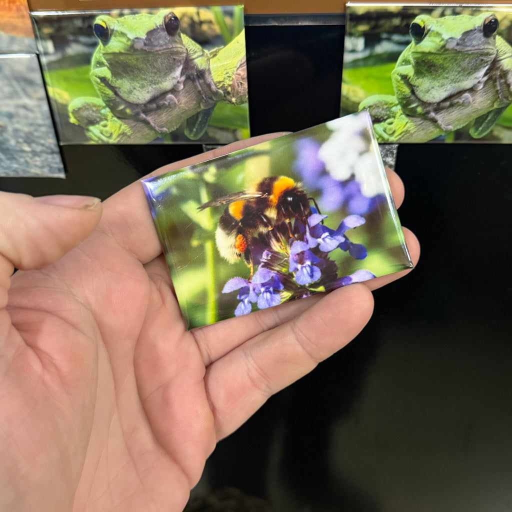 Aardhommel – Wildlife Explorer Collectible preview