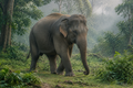 Aziatische olifant – Wildlife Explorer Season 2