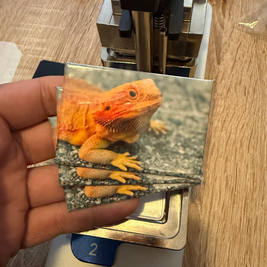 Baardagame – Wildlife Explorer Collectible preview