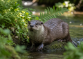 Europese otter – Wildlife Explorer Collectible