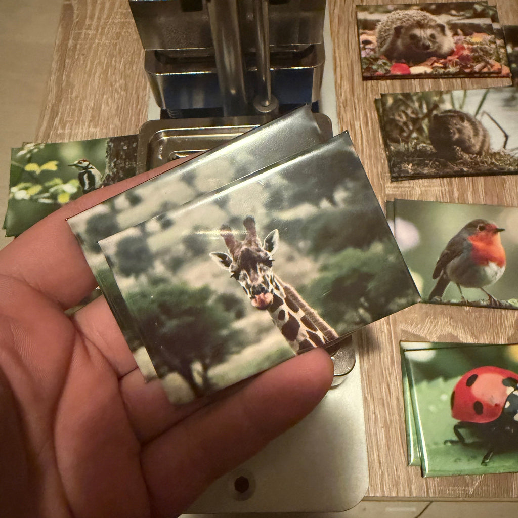 Giraf (editie 2) – Wildlife Explorer Collectible Preview