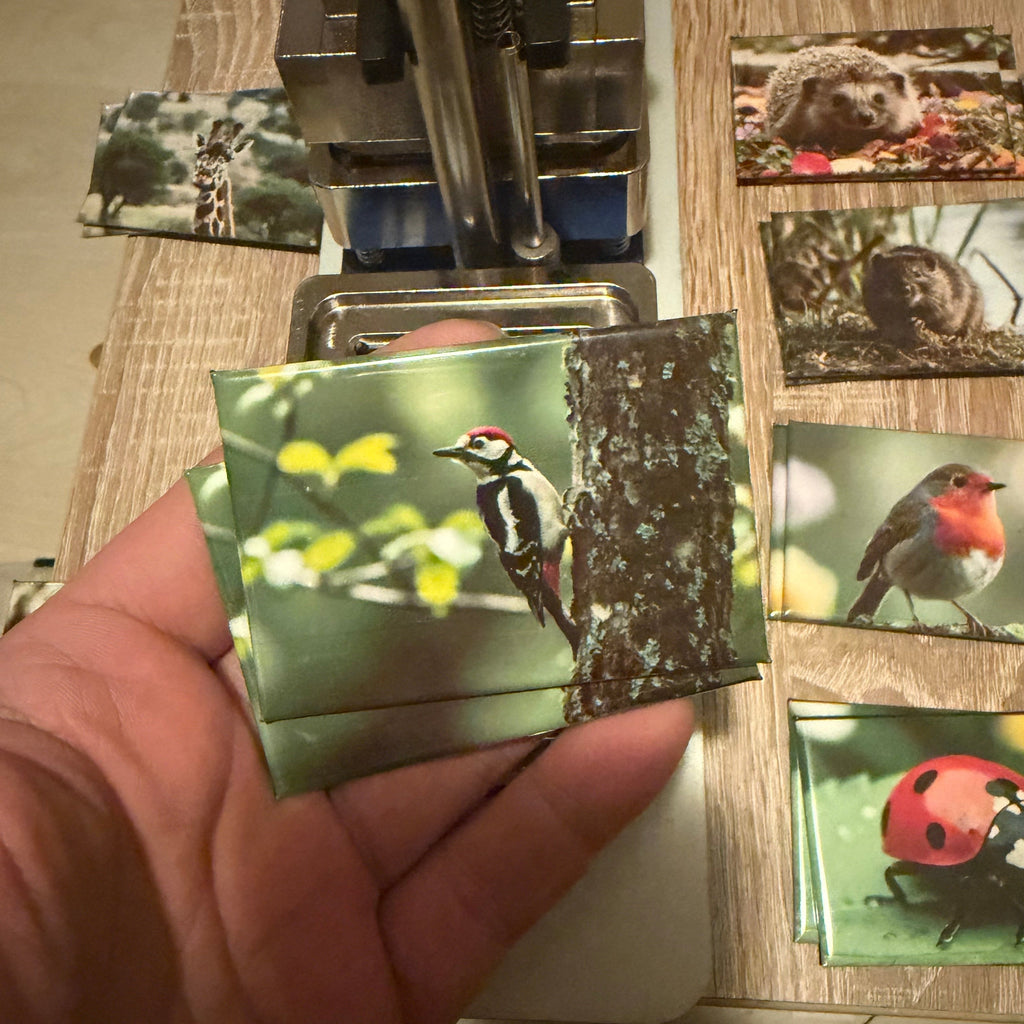 Grote bonte specht – Wildlife Explorer Collectiblepreview