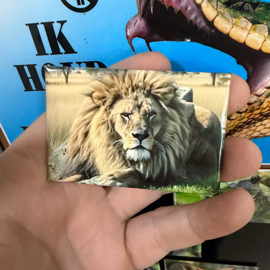 Leeuw – Wildlife Explorer Collectible 2
