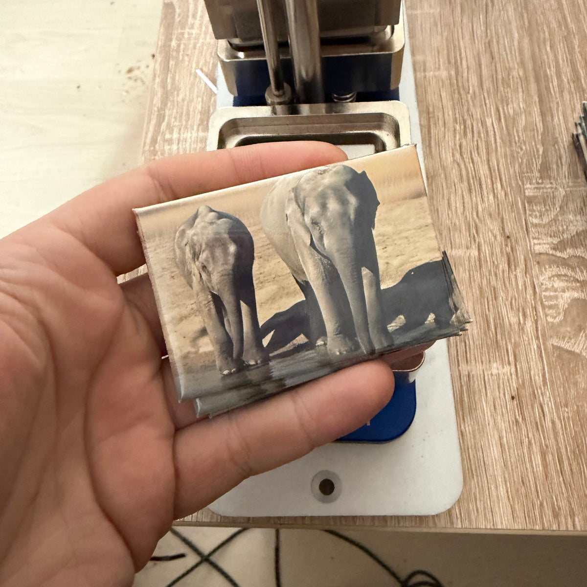 Olifant – Wildlife Explorer Collectible  preview
