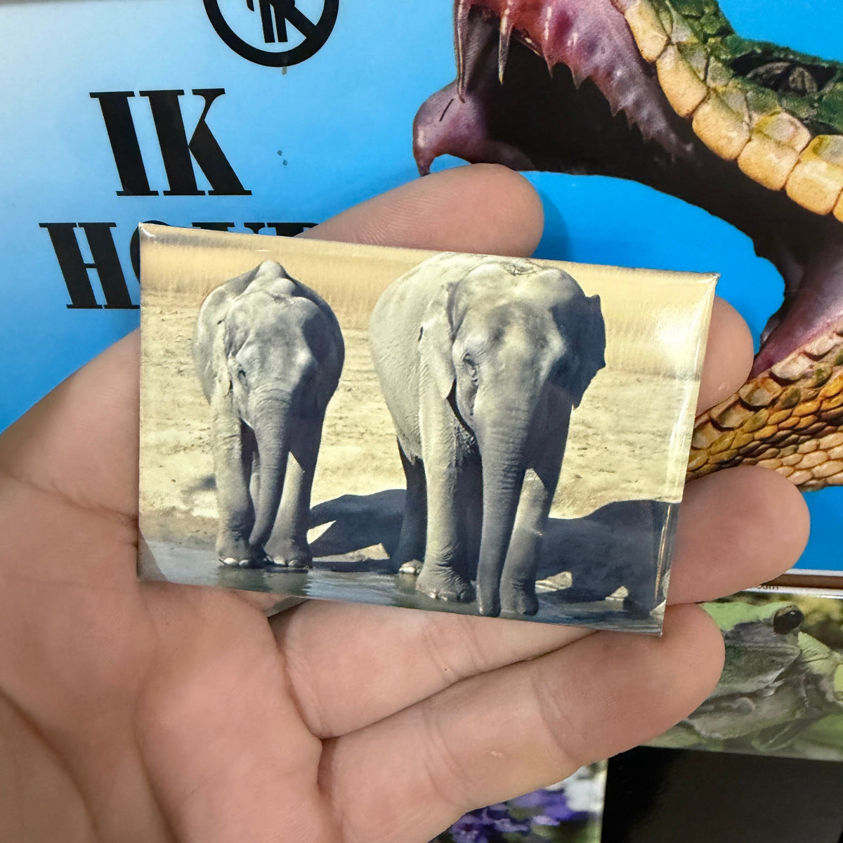 Olifant – Wildlife Explorer Collectible preview 2