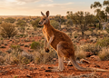 Rode Reuzenkangoeroe - Wildlife Explorer Collectible