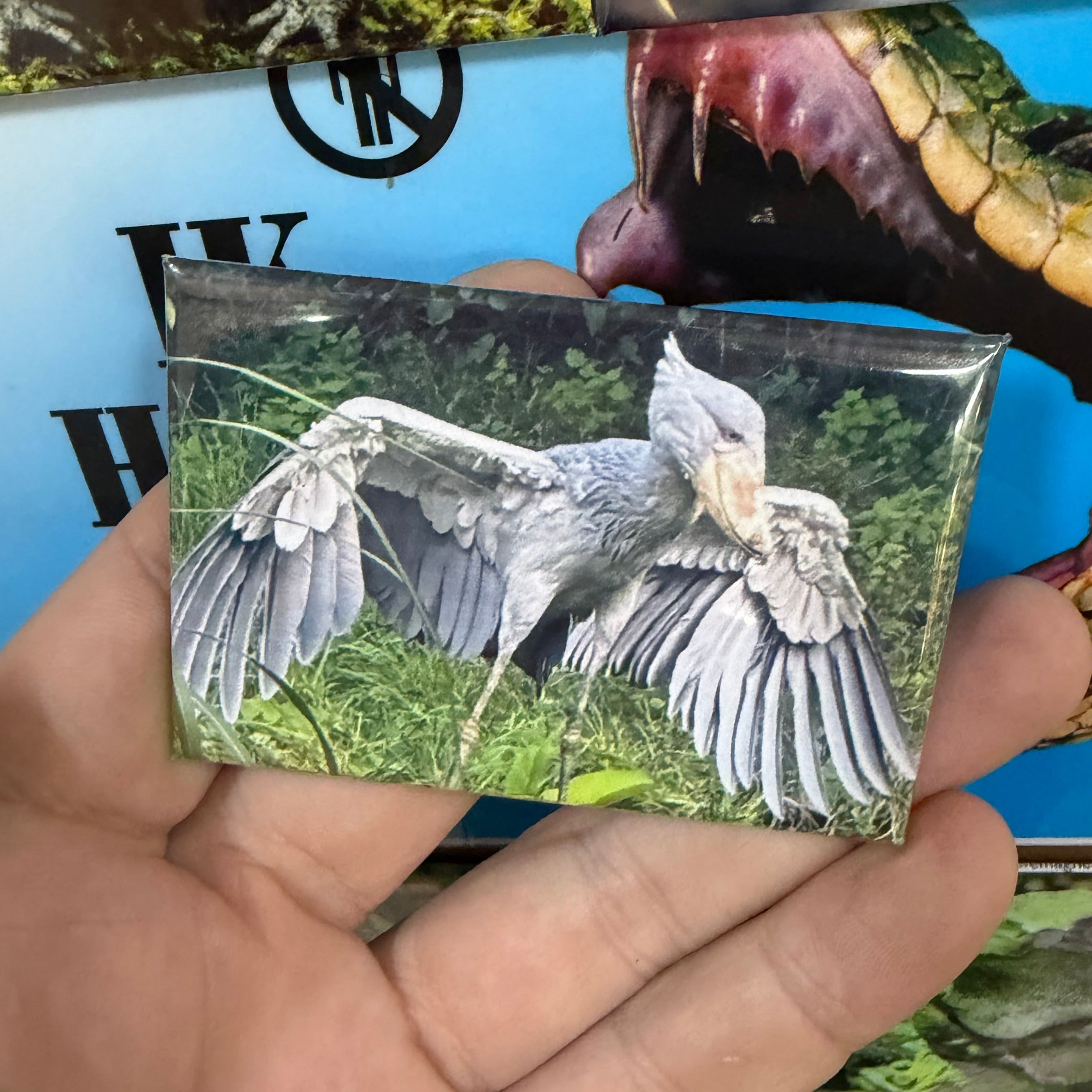 Schoenbekooievaar – Wildlife Explorer Collectible preview