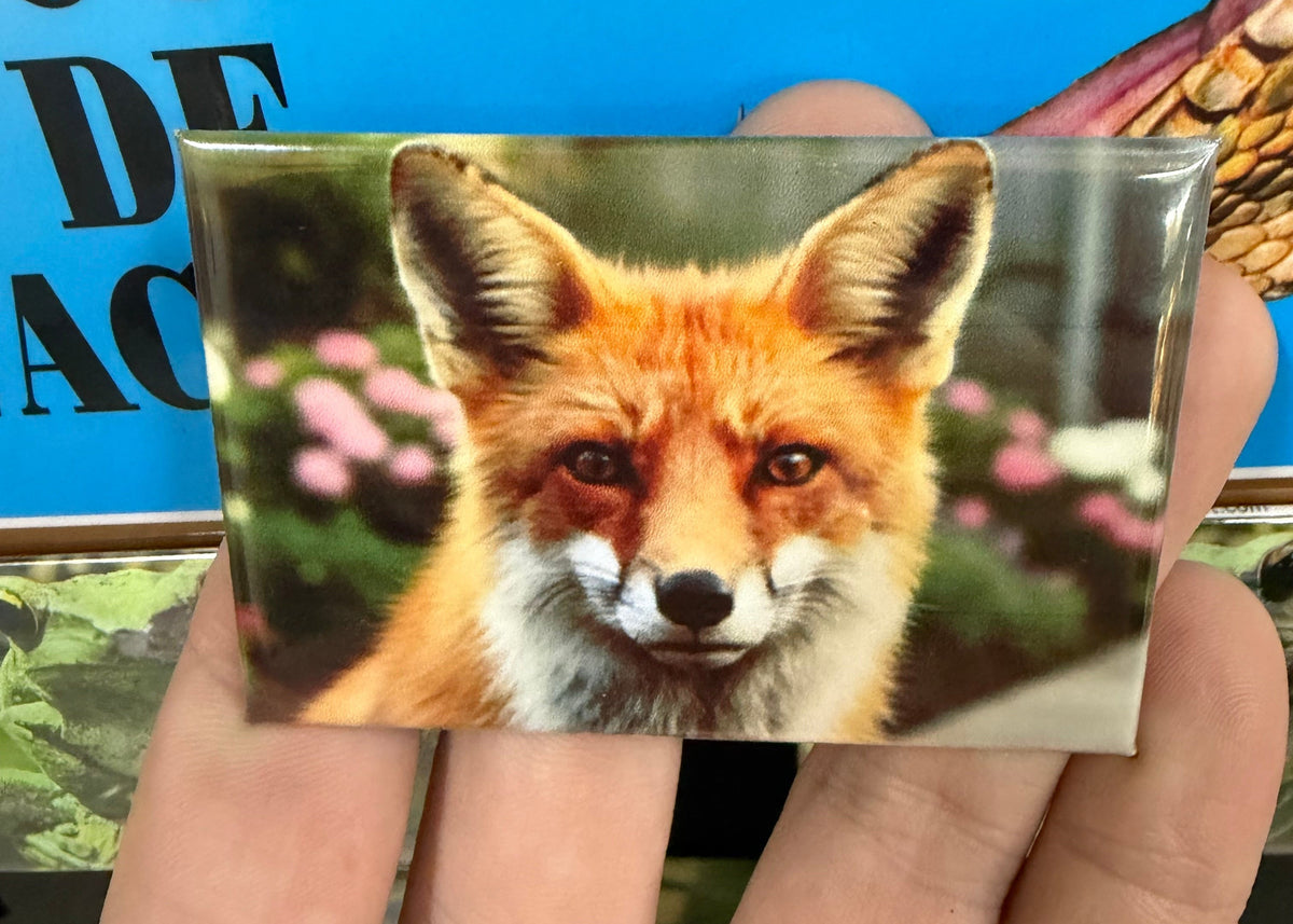 Vos – Wildlife Explorer Collectible preview