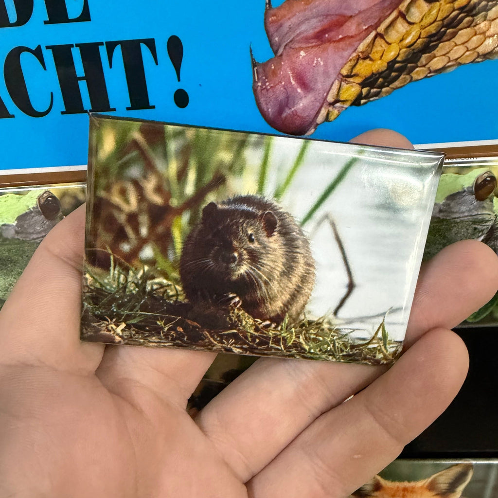Woelrat – Wildlife Explorer Collectible Preview 